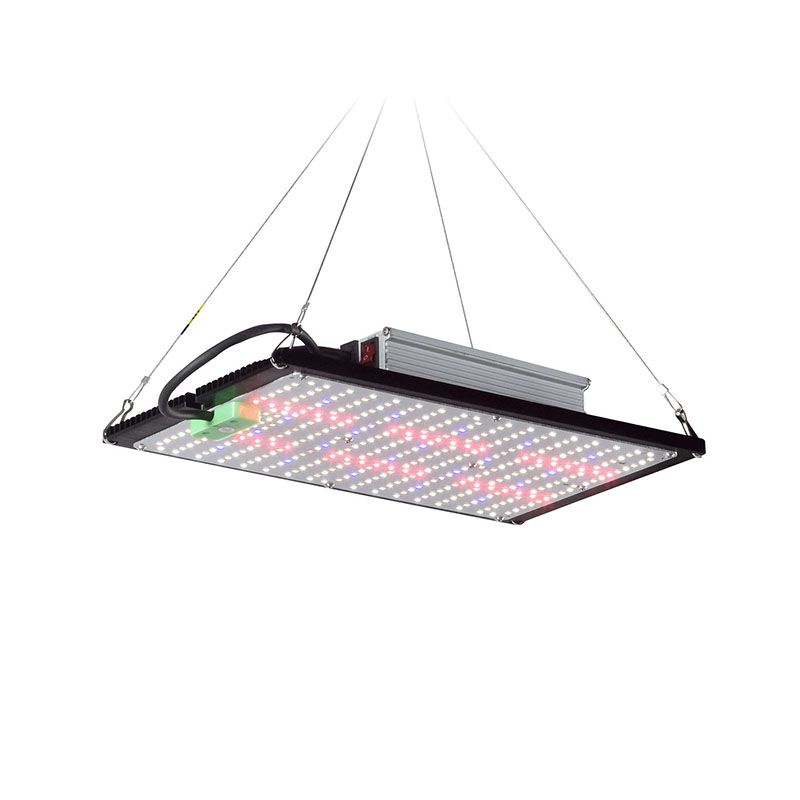 Światło LED Quantum-Board do u – Plant Grow Light Full Spectrum recenzja i cena