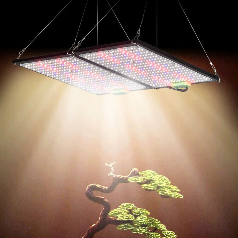 Światło LED Quantum-Board do u – Plant Grow Light Full Spectrum recenzja i cena
