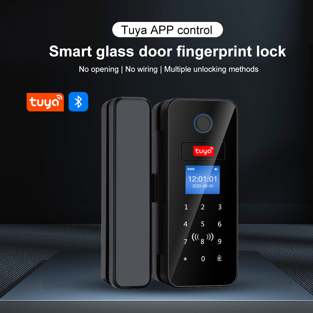 Inteligentny zamek do drzwi sz – Smart Garden Gate Lock recenzja i cena