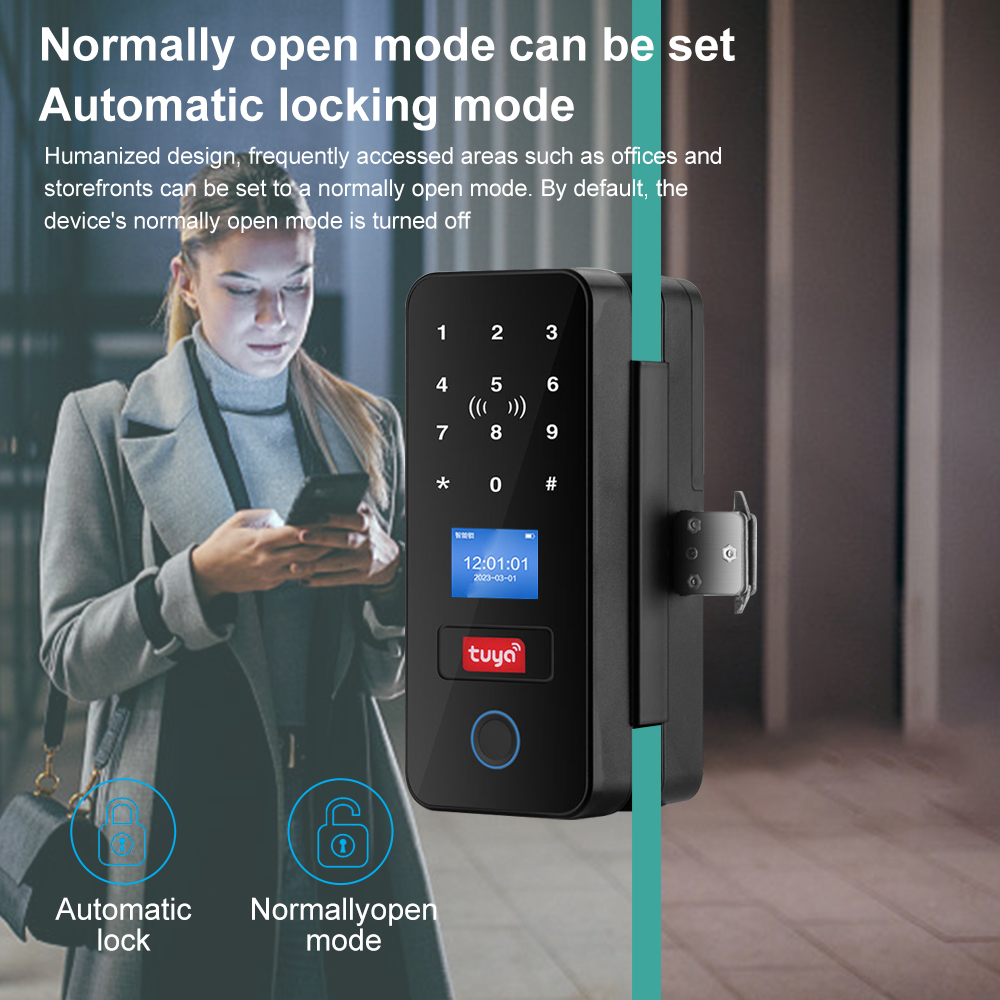 Inteligentny zamek do drzwi sz – Smart Garden Gate Lock recenzja i cena