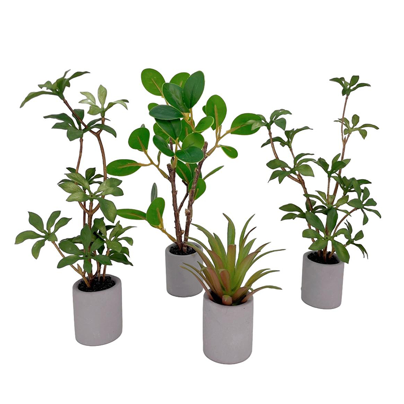 1:6 domek dla lalek miniaturow – Smart Garden Mini recenzja i cena