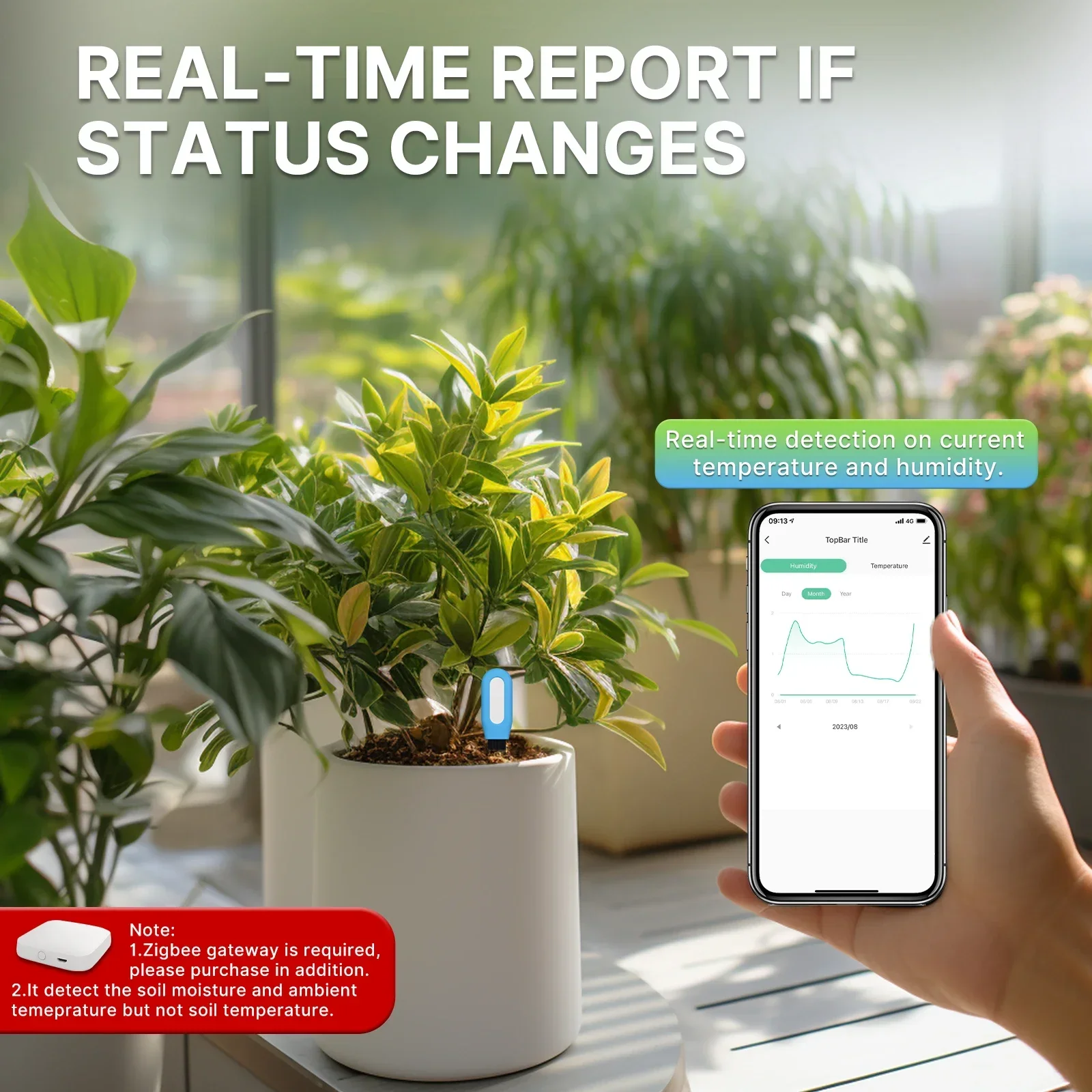 MOES Smart ZigBee miernik temp – Smart Urban Garden recenzja i cena