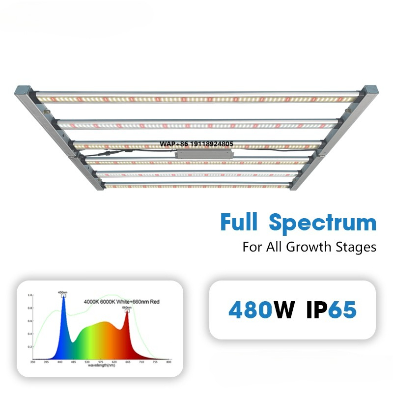 Profesjonalna lampa LED do upr – Plant Grow Light Full Spectrum recenzja i cena