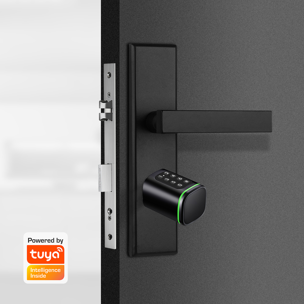 Inteligentny zamek cylindryczn – Smart Garden Gate Lock recenzja i cena