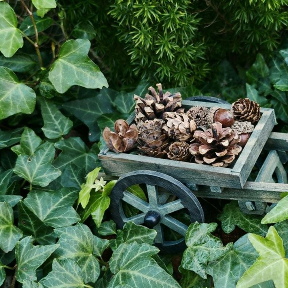 Wysokiej jakości model sceny z – Smart Garden Mini recenzja i cena