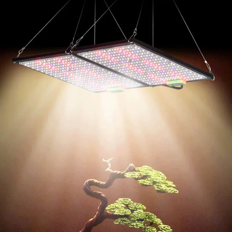 Światło LED Quantum-Board do u – Plant Grow Light Full Spectrum recenzja i cena